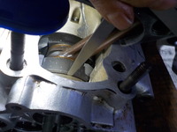 DSCN5442