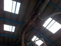 DSCN1352