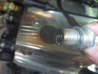 P1080004