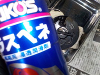 DSCN4508
