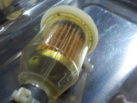 DSCN7886
