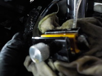 DSCN5946