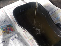 DSCN3872