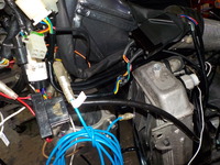 DSCN4554