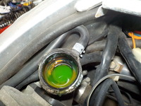 DSCN5852