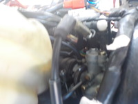 DSCN3727
