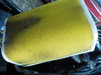 DSCN6484