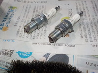 DSCN7475