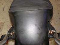 DSCN8448