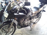 xelvis20111208ws (1)