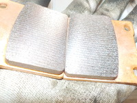 DSCN5871