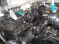 DSCN4494