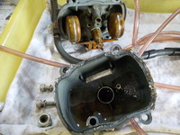 DSCN3681