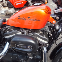 DSCF1099