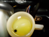 DSCN6073
