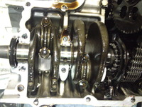 SN3U1157