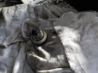 DSCN8596