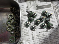DSCN6658