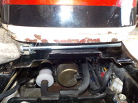 DSCN5731