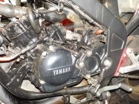 DSCN9736