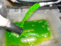 DSCN1720