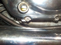 DSCN8131