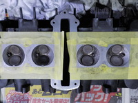 DSCN6355