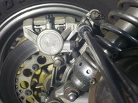 DSCN3445