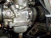 DSCN6782