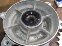 DSCN7964