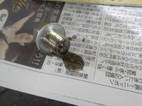 DSCN6149