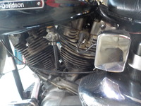 DSCN7533