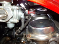 DSCN6544