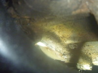 P1260031
