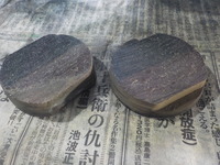 DSCN4590