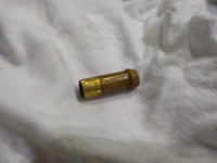 DSCN3134