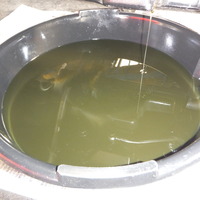 DSCF4302