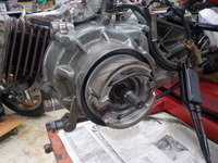 DSCN2410
