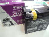 trickerFI-dg16j20121016ws (1)