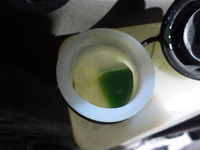 DSCN7369