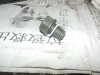 DSCN5965