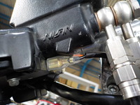 DSCN6002
