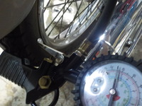 DSCN3667
