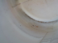DSCN1419