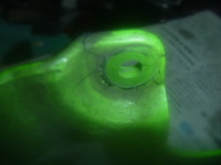 P1150426