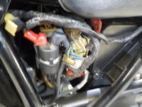 DSCN2561