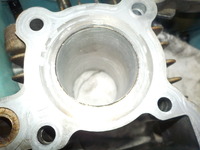 DSCN4780