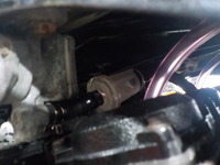 DSCN1434