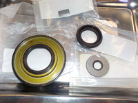 DSCN4804