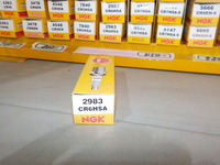 DSCN0938